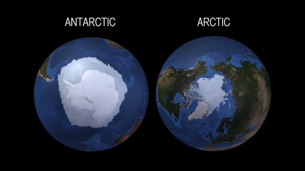 Arctic and Antarctic 
