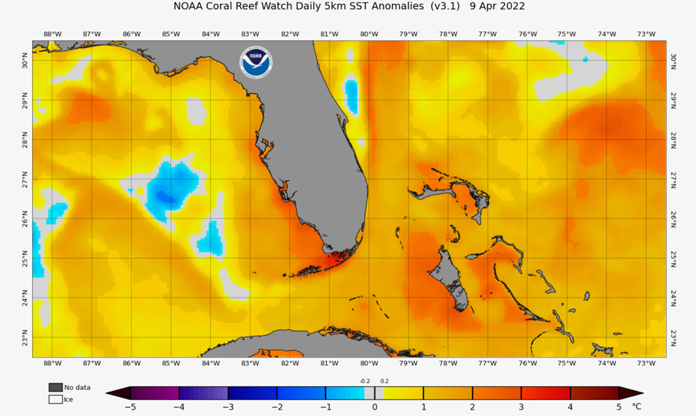 NOAA Coral Reef Watch Daily 5km SST Anomalies - 9 Apr 2022