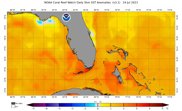 NOAA Florida ocean temperature map